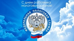 Красивые картинки с Днем работника налоговых органов 2024