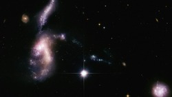 Гороскоп на  неделю с 17 по 23 марта 2025: Раков ждут испытания, Львов — приятные встречи