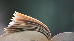 Тест по литературе: только начитанные люди ответят на 9/9