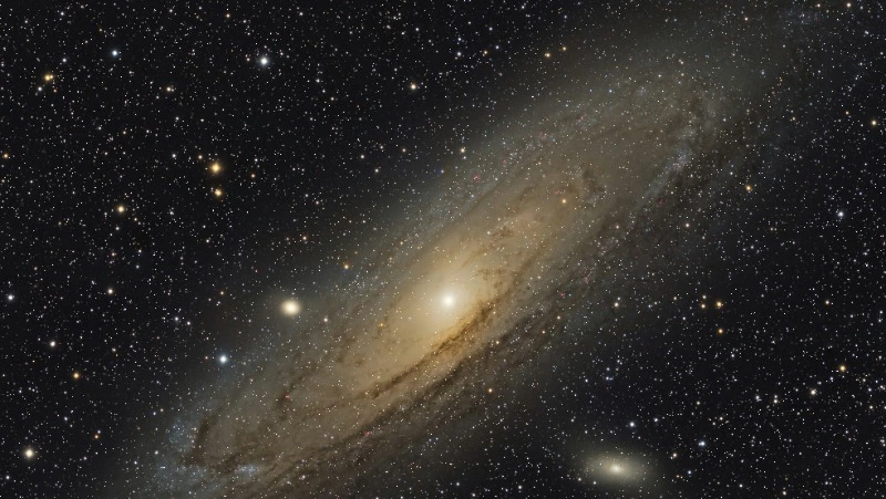 Приятный сюрприз Дев и успех Львов: ежедневный гороскоп на 18 августа 2024 года