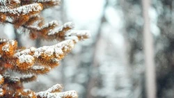 Прогноз погоды в Сахалинской области на 13 февраля: ветер, снег и мороз до -28 градусов