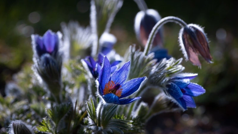 Народные приметы на 23 мая 2024 года: что нельзя делать в этот день, приметы