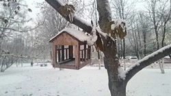 Снежная и морозная погода ожидается в Сахалинской области на предстоящей неделе
