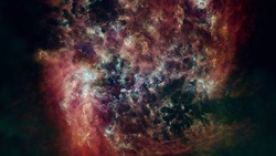 Гороскоп на 5 апреля 2025 года: интересные сюрпризы у Рыб и всплеск креативных идей у Львов