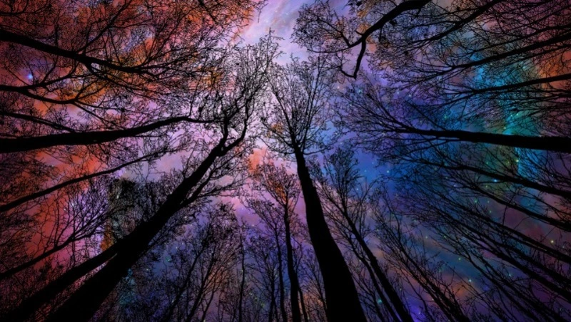 Гороскоп на 19 мая 2024 года: чего стоит ждать каждому знаку зодиака