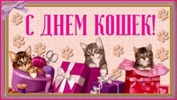 Красивые открытки с Днем кошек 2025