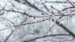 Церковный праздник 22 февраля 2024 года: что нельзя делать в этот день 