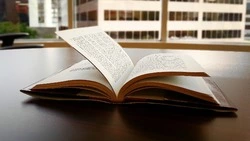 Тест на знания: эрудит — ваше призвание, если наберете 8/8