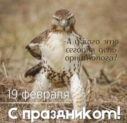 День орнитолога 2025 — открытки и картинки к празднику