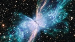 Успех в жизни ждет эти 3 знака зодиака в начале июля 2024 года
