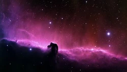 Интуиция Раков, терпение Весов и деньги Скорпионов: подробный гороскоп на июль 2024 года