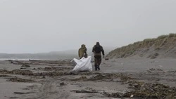 Волонтерство активно развивается в Сахалинской области
