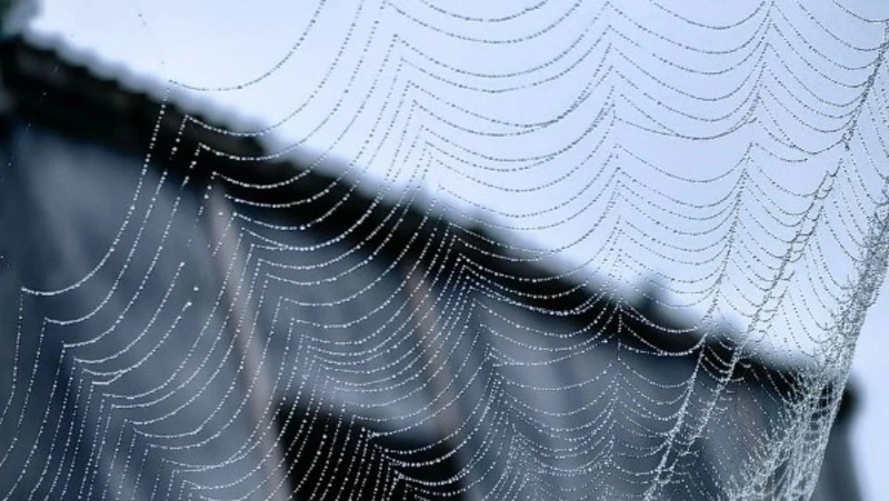 Умеренный дождь пройдет на Сахалине 10 июля