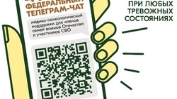 Продолжает свою работу единый федеральный чат Комитета семей воинов