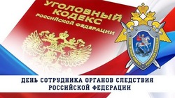 Красивые картинки и открытки с Днем сотрудника органов следствия РФ 2024