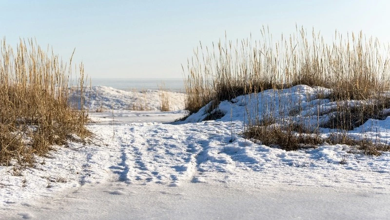 Народные приметы на 23 марта 2024 года: что нельзя делать в этот день, приметы