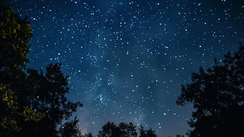 Овны преодолеют препятствия, Скорпионы потеряют деньги: гороскоп на 6 августа