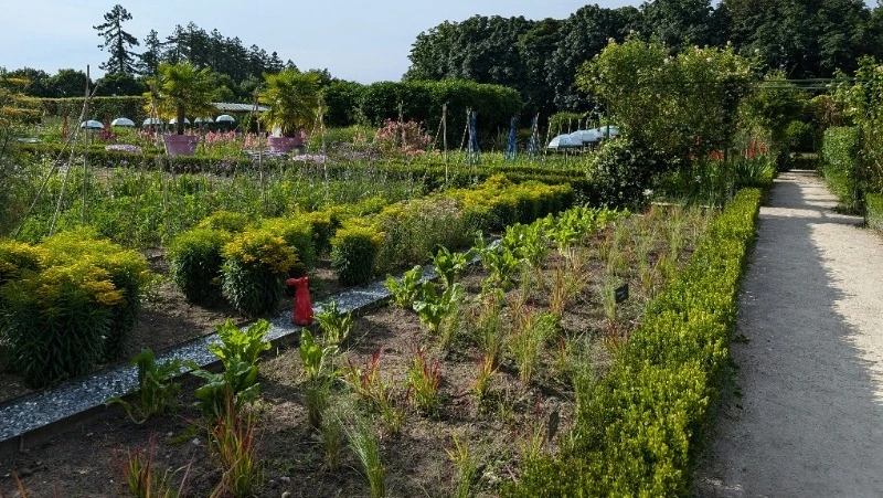 Народные приметы на 2 июня 2025 года — что нельзя делать в день Тимофея Грядочника