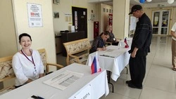 Политтехнолог: выборы губернатора на Сахалине проходят с масштабным информированием избирателей