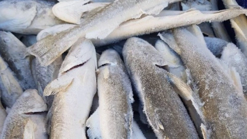 Свежая рыба в Поронайском районе