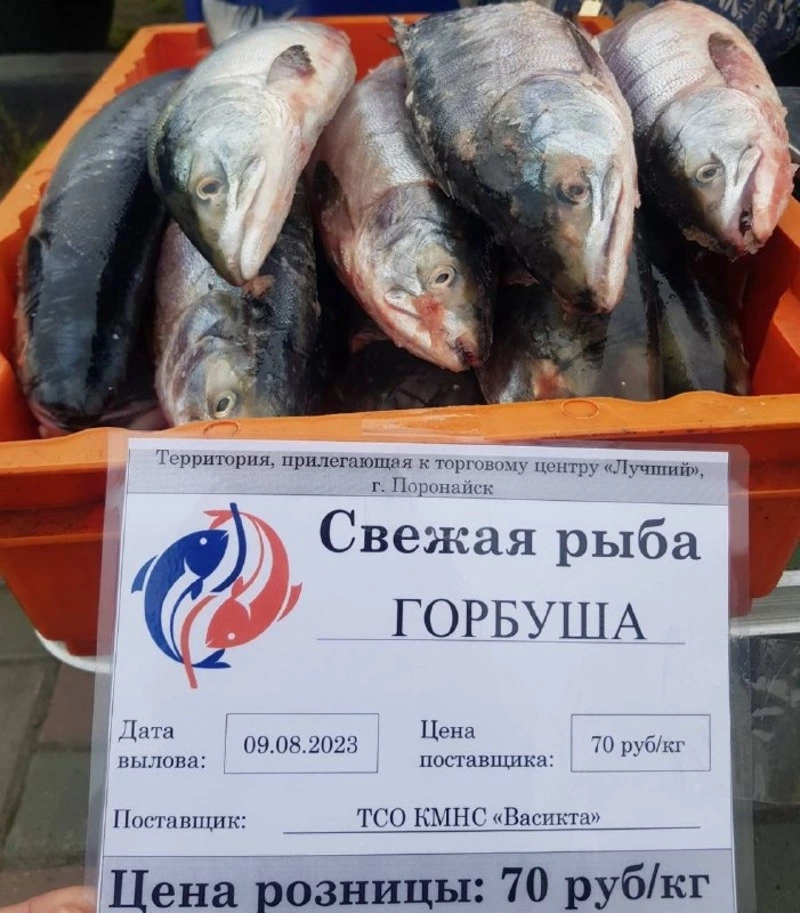 Свежая горбуша сегодня в Поронайске