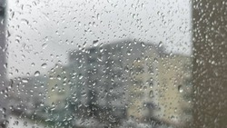Синоптики рассказали, какая погода будет в Сахалинской области 23 июля
