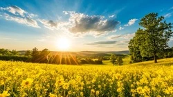 Народные приметы на 21 июня 2025 года — что нельзя делать в день Федора Колодезника