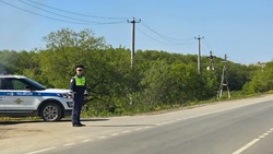 День Гаи в России в 2024 году: история и традиции праздника, идеи для подарков