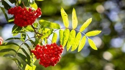 Календарь народных праздников на октябрь 2024 года: названия