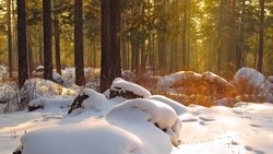 Сильный ветер и до +2 градусов: прогноз погоды в Сахалинской области на 25 февраля