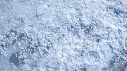 Прогноз погоды в Сахалинской области на 17 января: снег и сильный ветер
