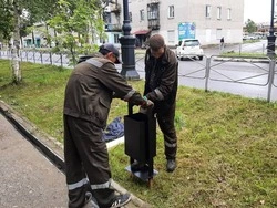 Несколько десятков урн появятся на улицах населенных пунктов Поронайского района