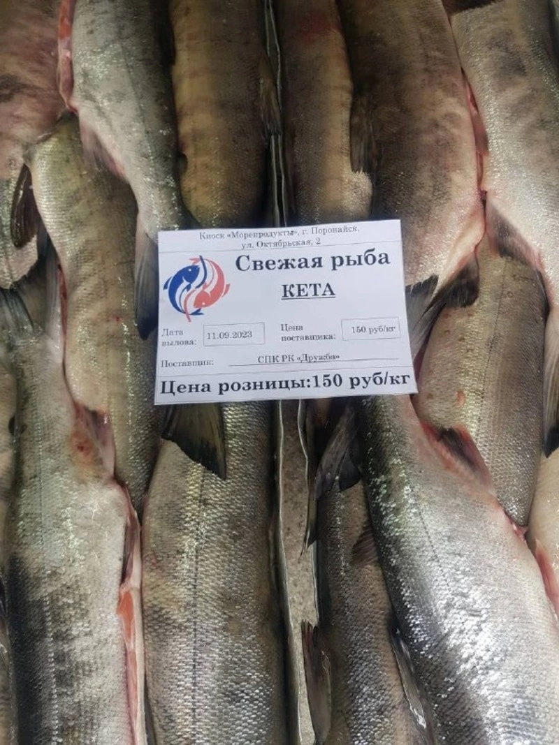 Свежая рыба сегодня в Поронайске