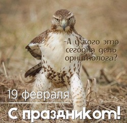 День орнитолога 2025 — открытки и картинки к празднику